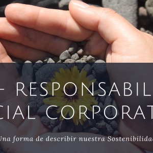 responsabilidad social corporativa