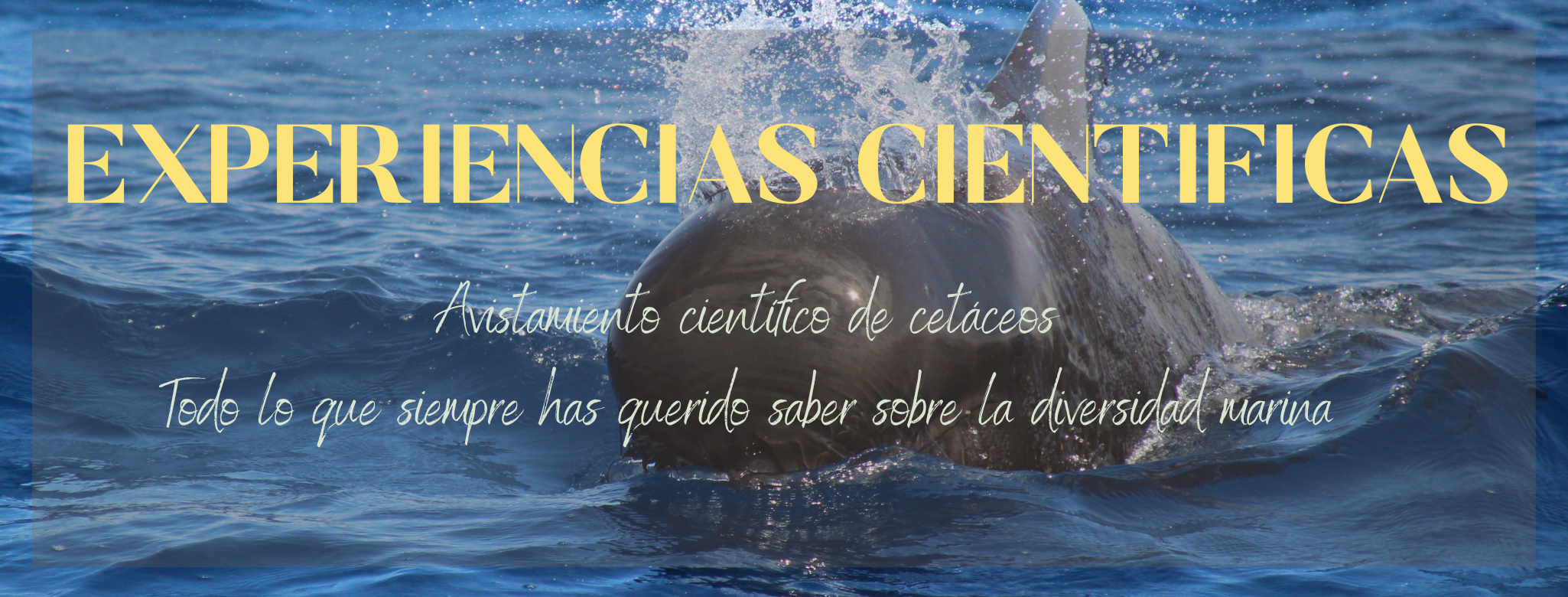 Experiencias científicas y marinas