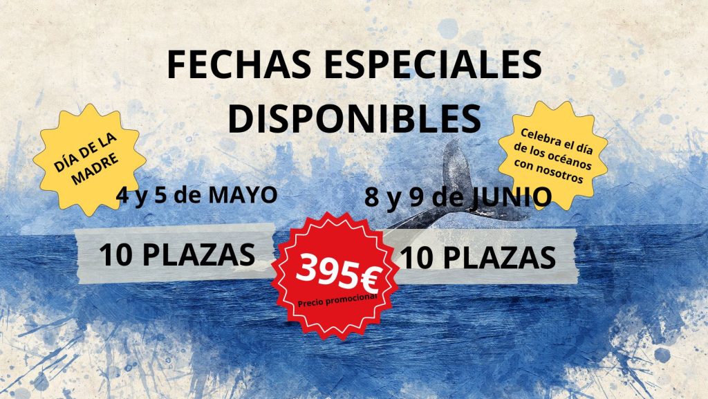 FECHAS ESPECIALEs, día de la madre, día de los océanos